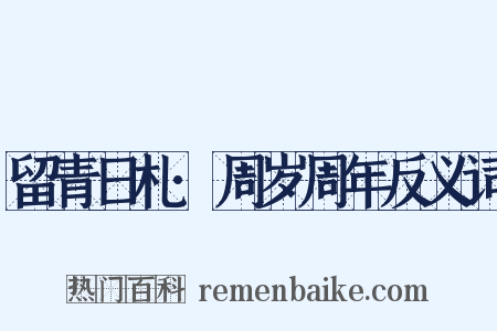 留青日札·周岁周年反义词是什么意思的图片